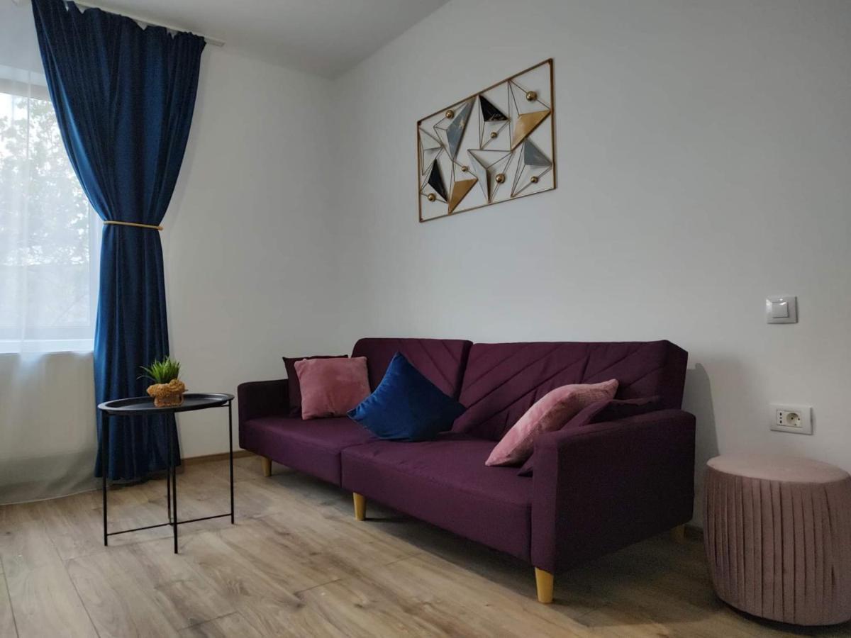 Dania&Petru Residence Tîrgu Ocna Eksteriør billede