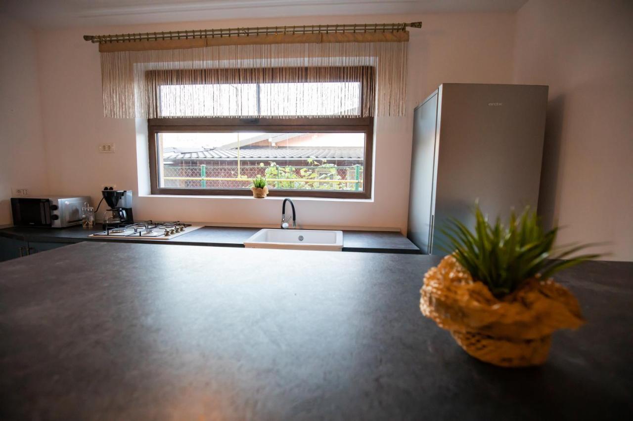 Dania&Petru Residence Tîrgu Ocna Eksteriør billede